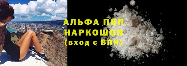 СК Бородино