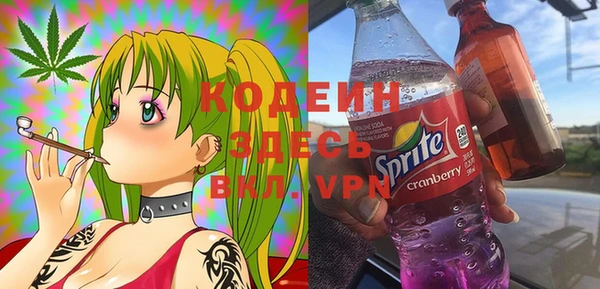 СК Бородино