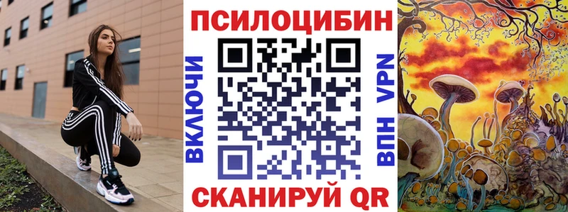 закладка  Верхняя Тура  дарк нет формула  Псилоцибиновые грибы Cubensis 