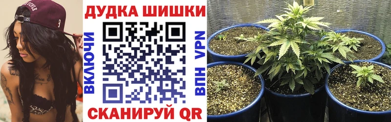 Конопля Ganja  Верхняя Тура 
